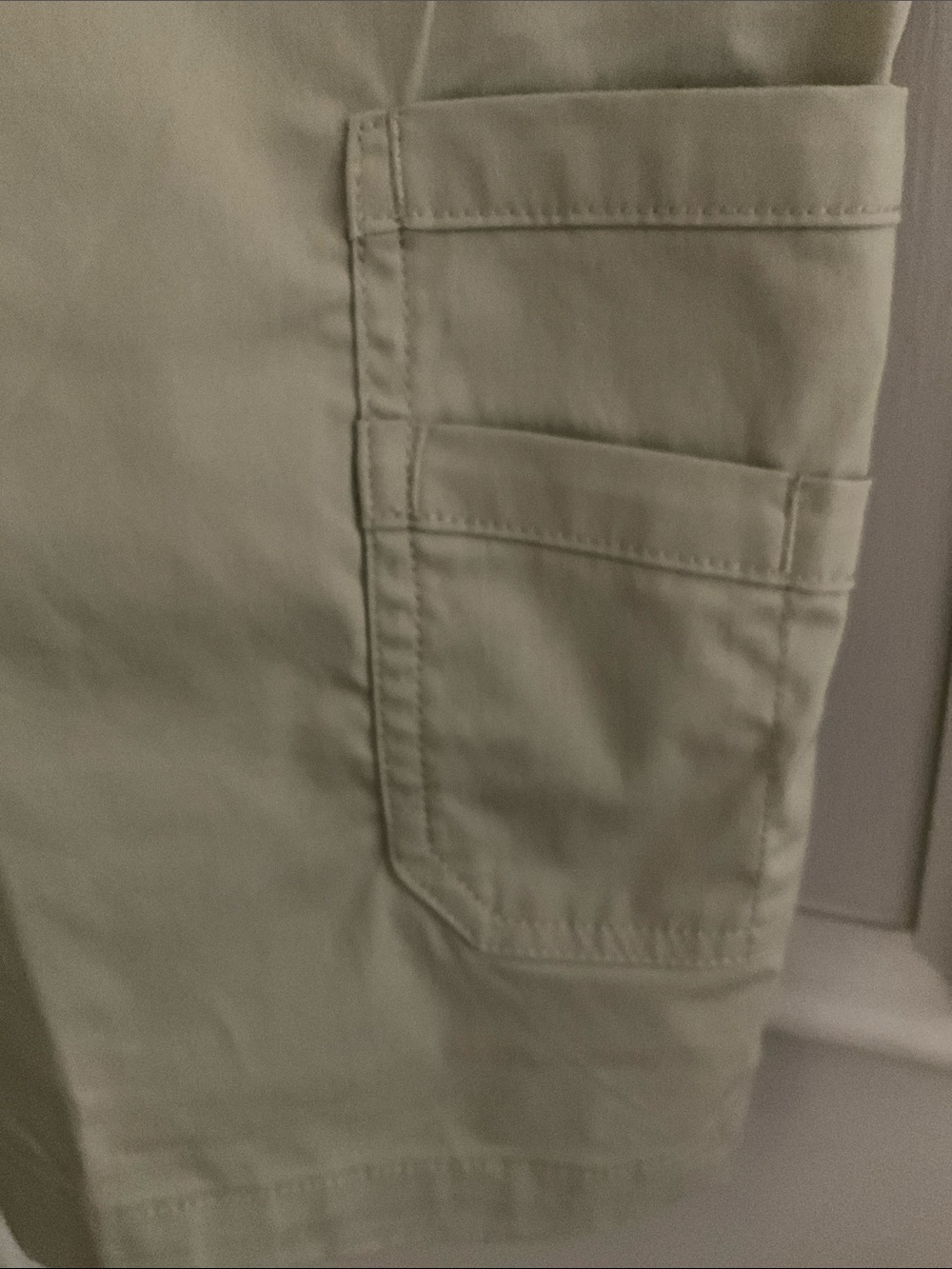 Dickies Beige/Sand , cooling temp IQ , size 36 Shorts - Picture 5 of 9
